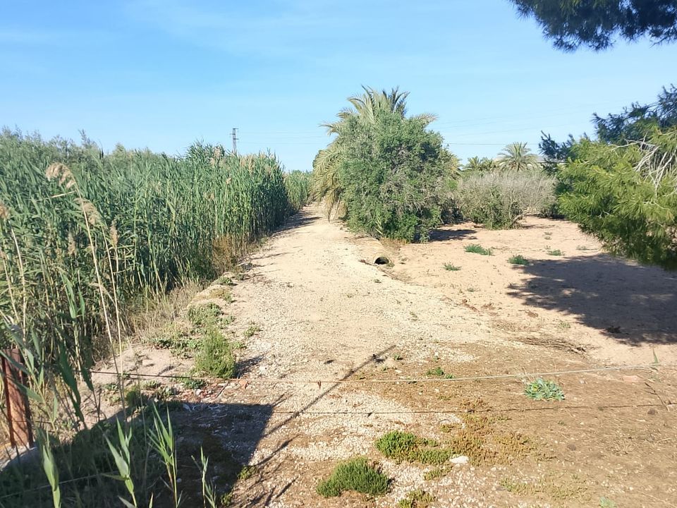 Helårsgrund i El Realengo, Alicante - foto 3